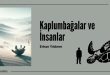 Kaplumbağalar ve İnsanlar | Erhan Yıldırım (Kısa Öykü)